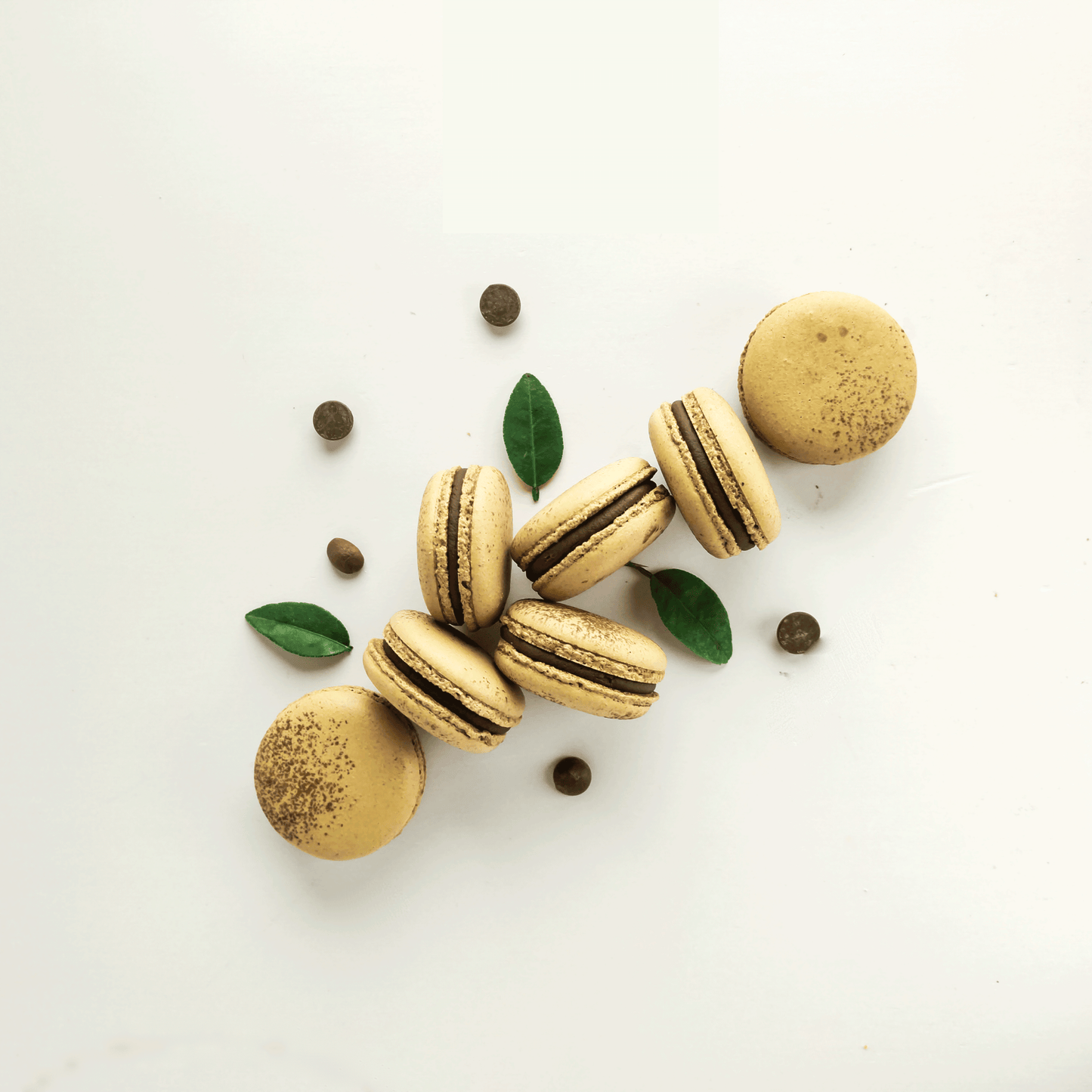 Chocolate Macarons (Box of 6)