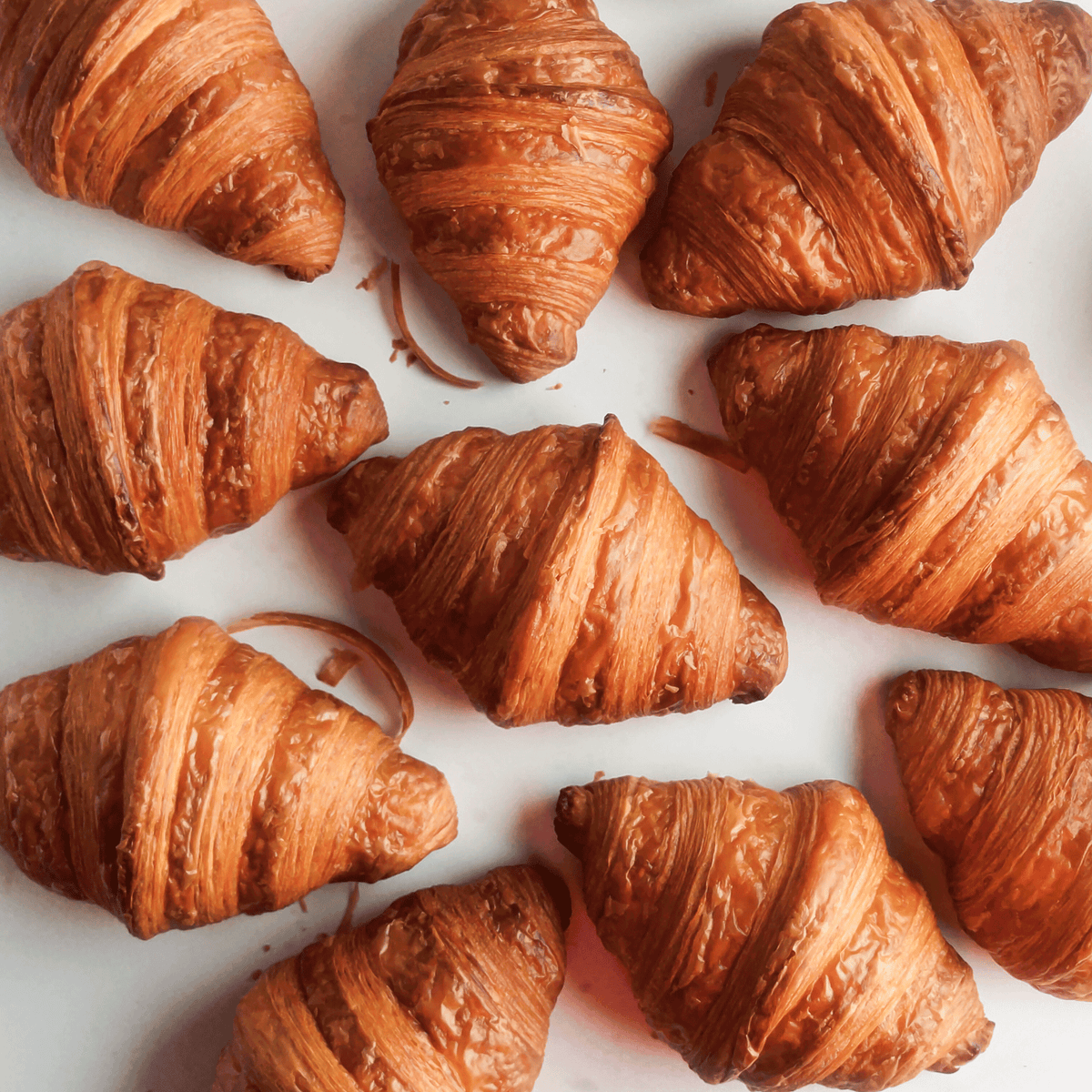 Classic butter croissant
