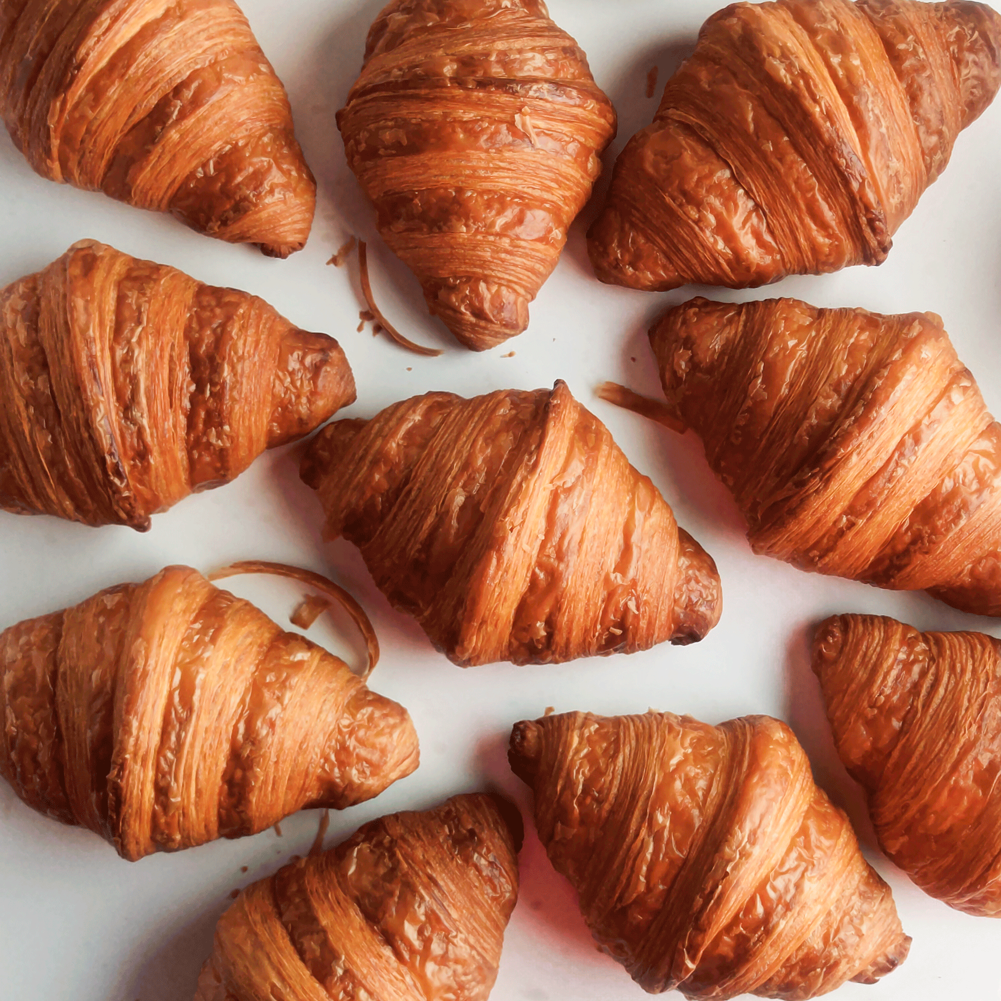 Classic butter croissant