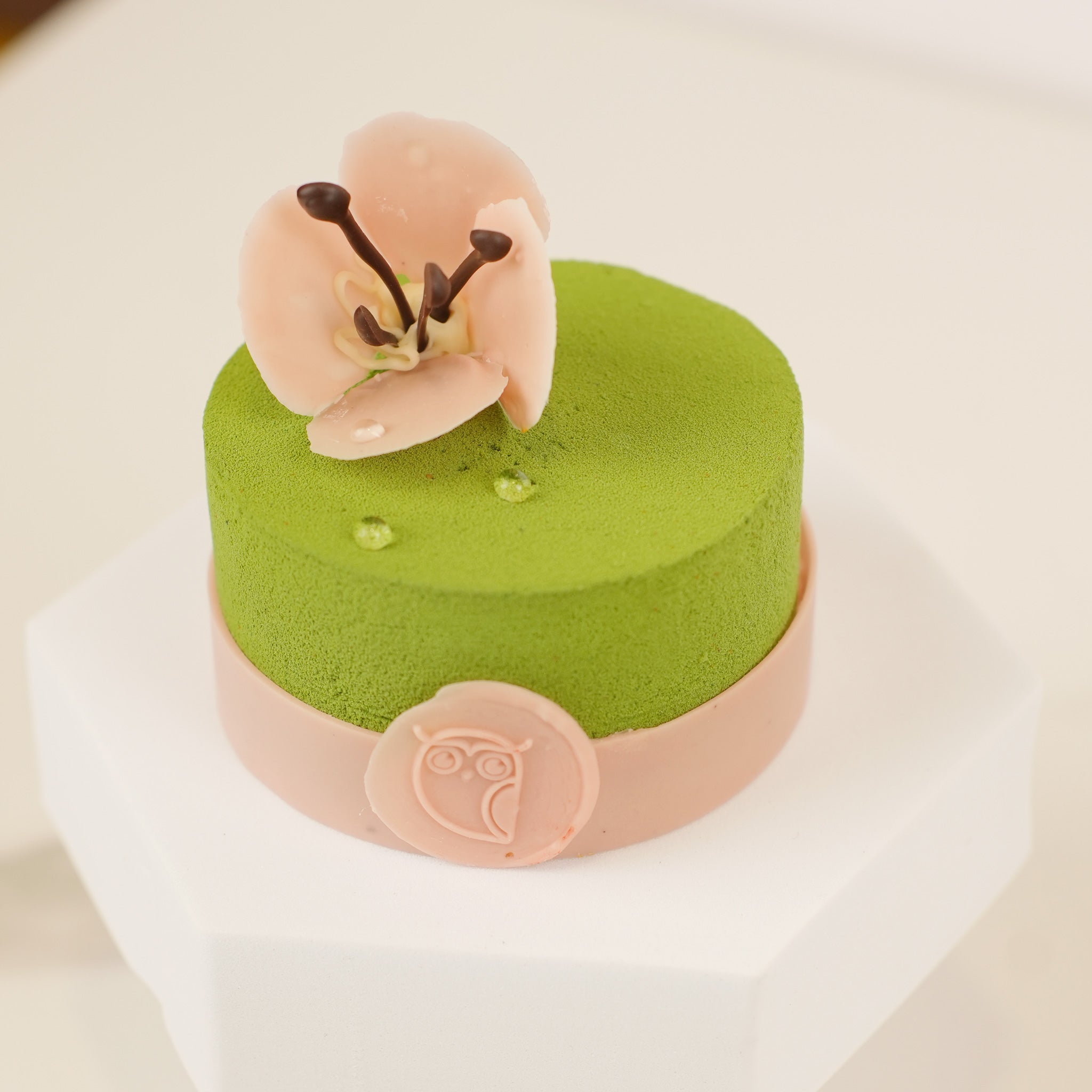 Eden pistachio and strawberry cake, close-up
