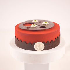 Zest chocolate orange cake, close-up